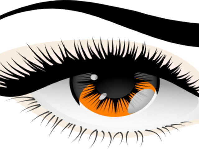 Ojos marrones PNG imagen Transparente