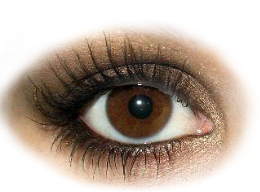 Brown Eyes Transparent Background PNG
