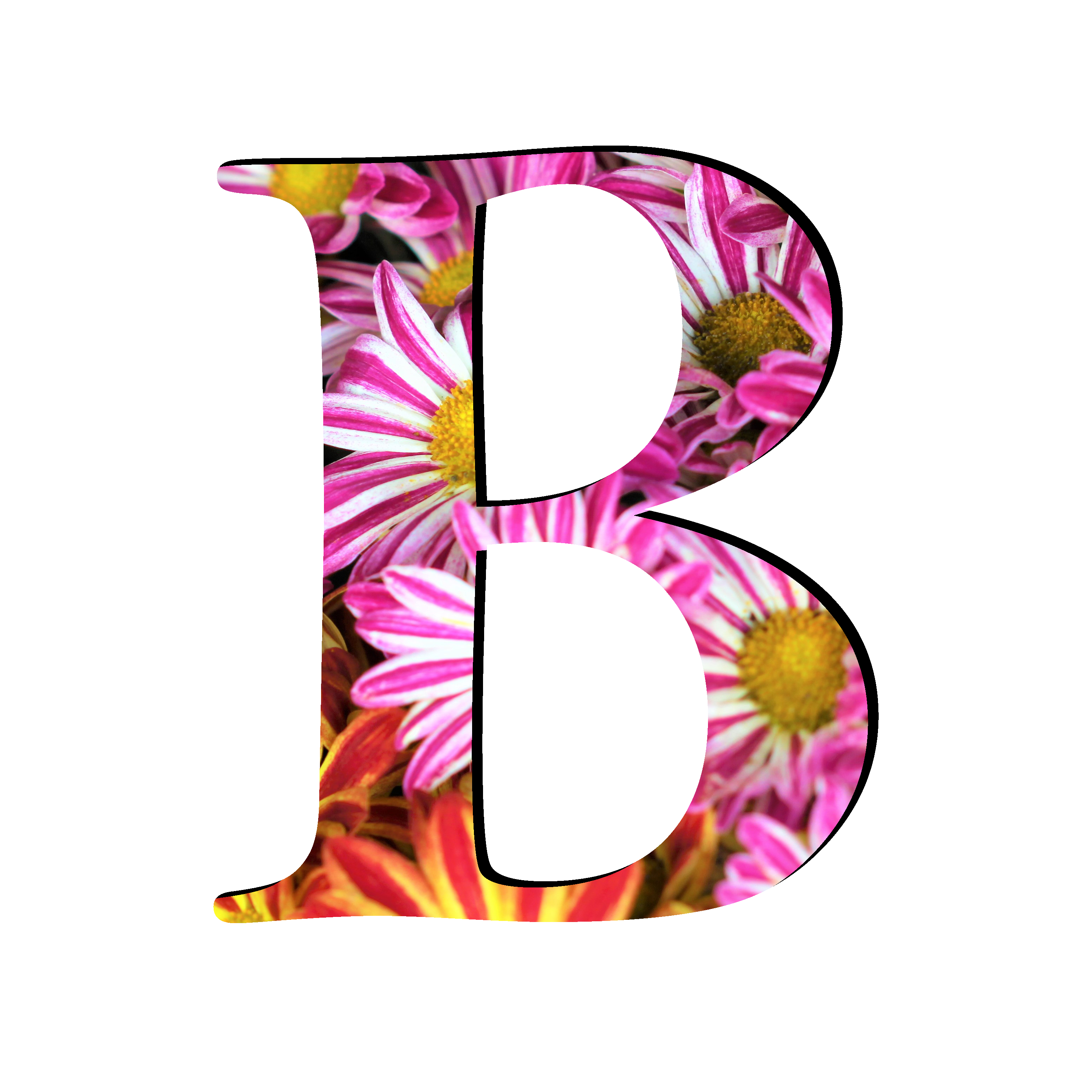 Kalligrafie floral letters PNG achtergrondafbeelding