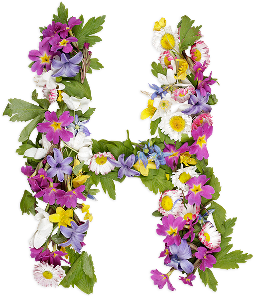Kalligrafie floral letters PNG Afbeelding achtergrond