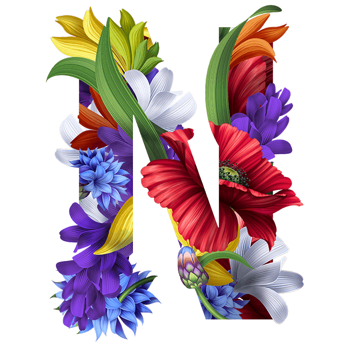 Calligraphy Floral Letters PNG Picture