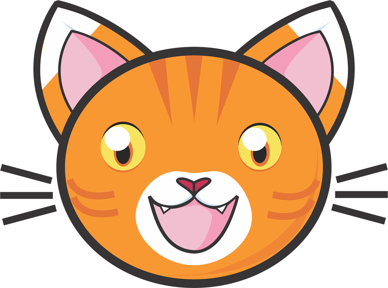 Cat Cartoon Face PNG Image Background