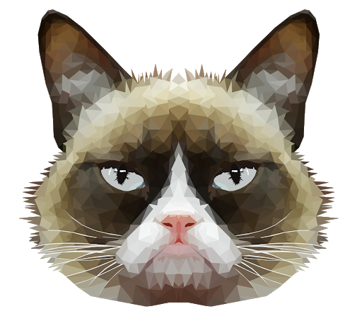 Cat Face Download Transparent PNG Image