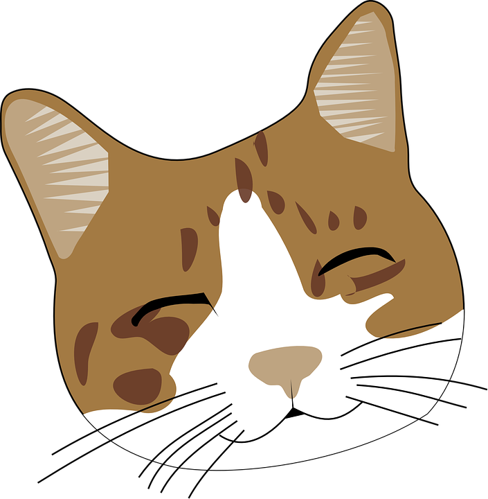 Cat Face PNG Kostenloser Download