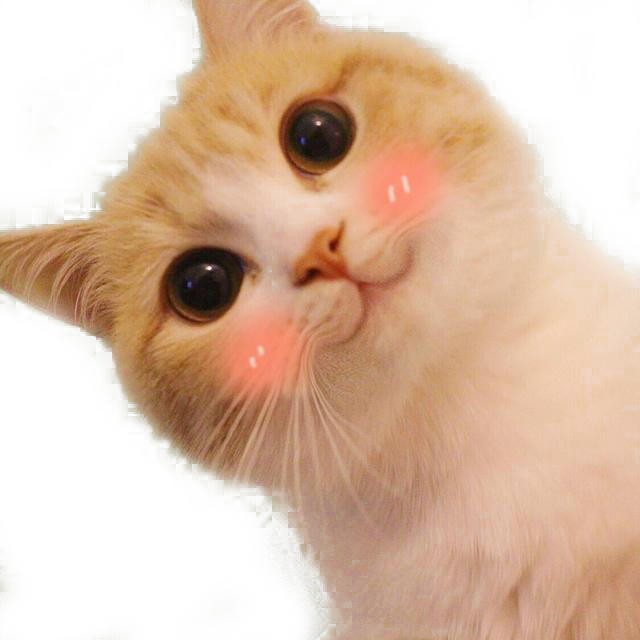 Gato face PNG Pic
