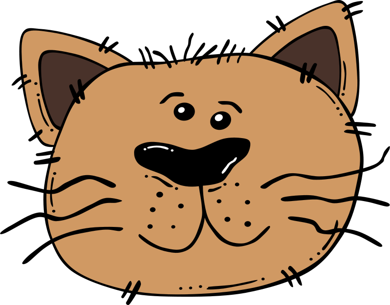 Katze Gesicht Transparenter Hintergrund PNG