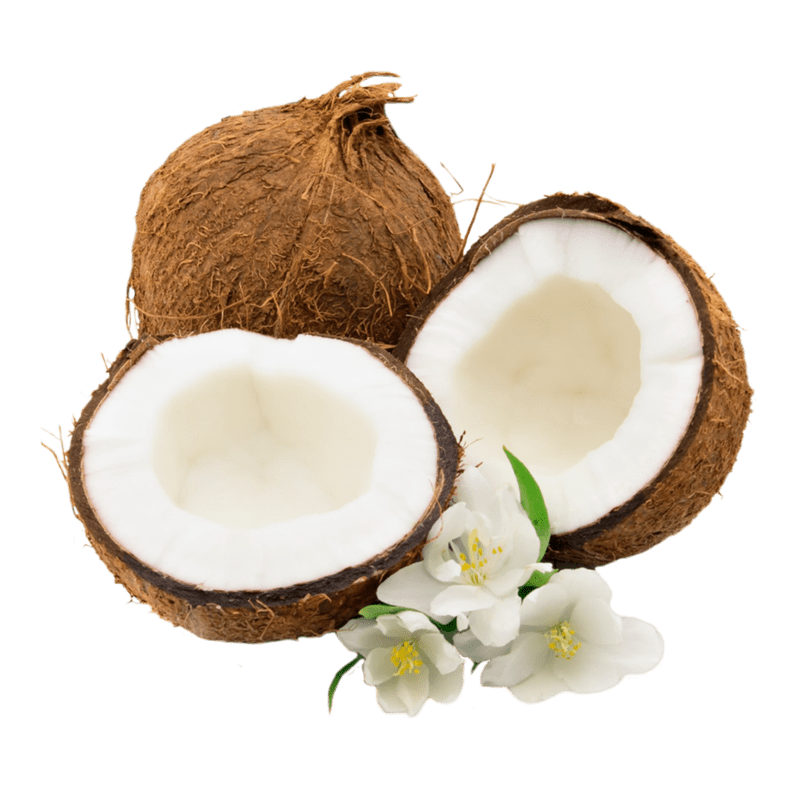Coco fruta PNG achtergrondafbeelding