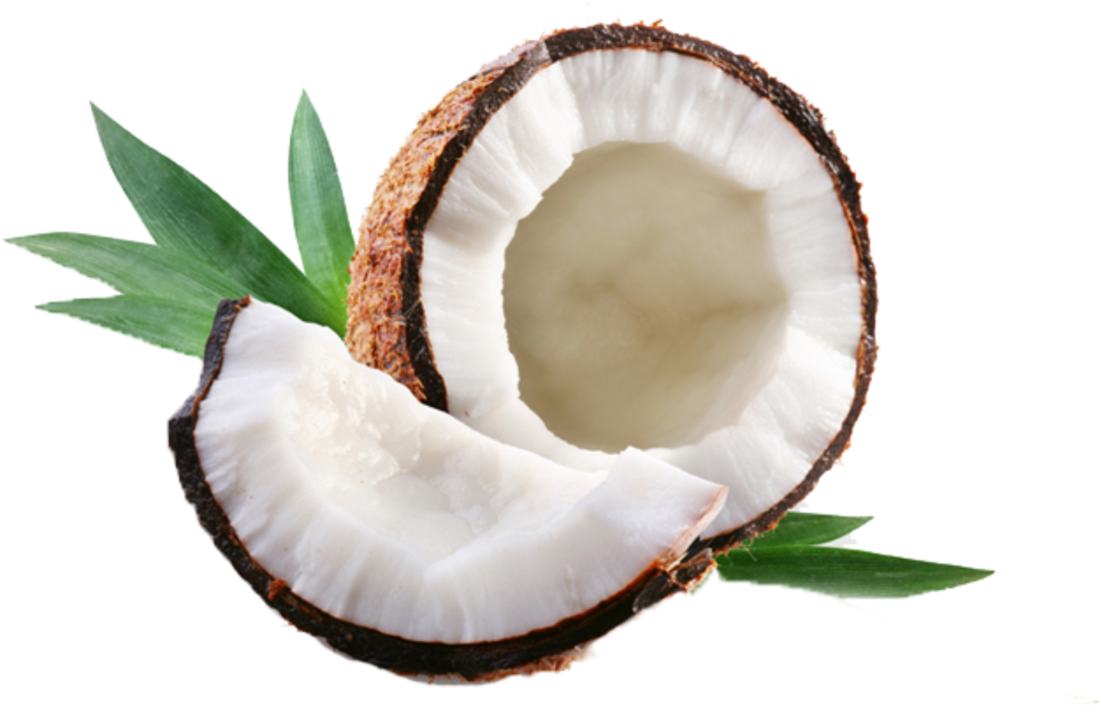 Coco fruta PNG hoogwaardige Afbeelding