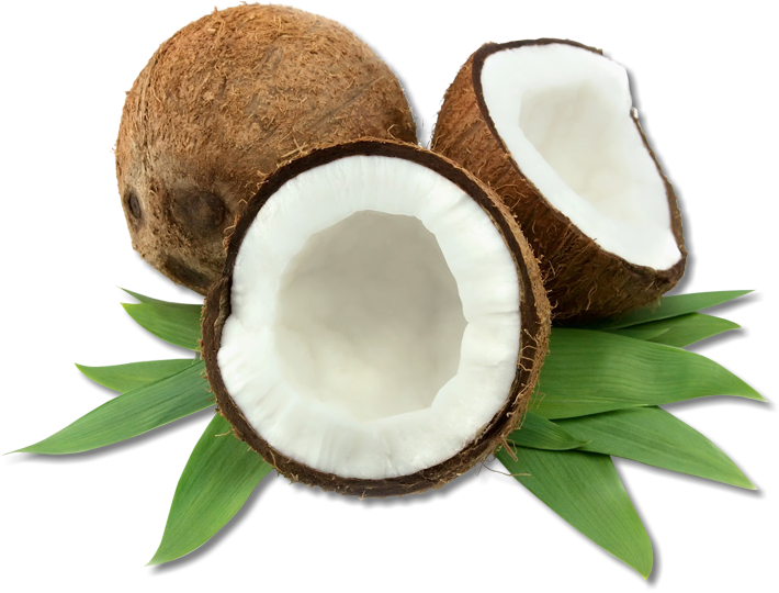 Coco fruta PNG Gambar latar belakang Transparan