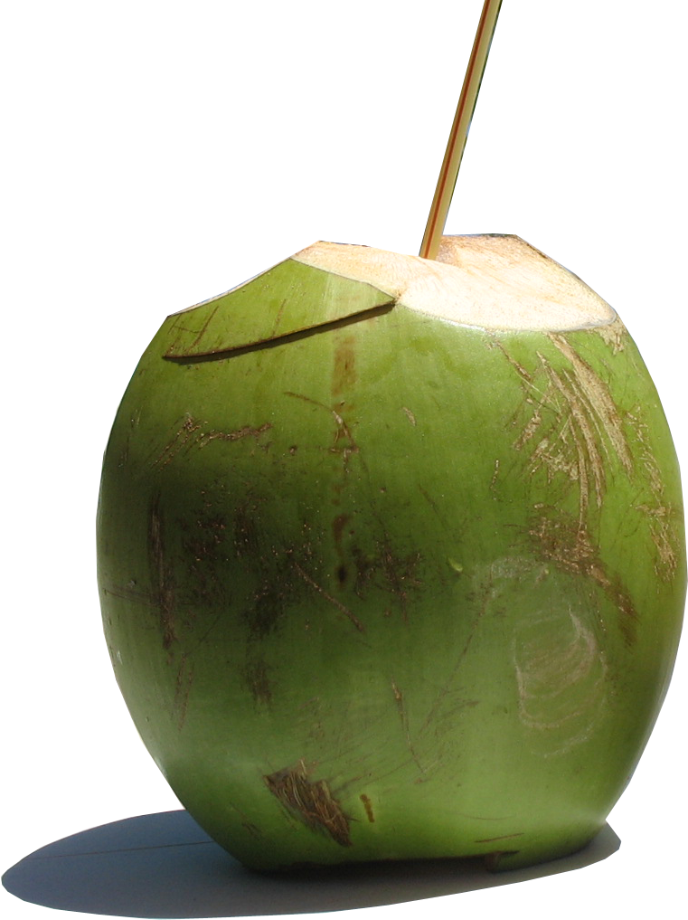 Coco fruta Gambar Transparan