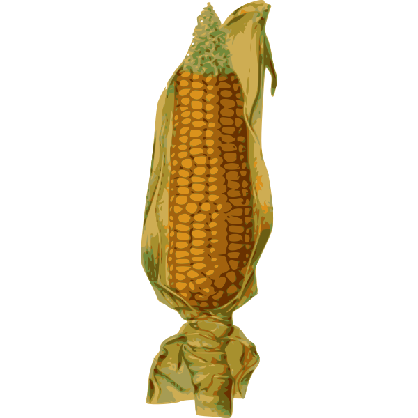 Corn On The Cob Drawing PNG Photo