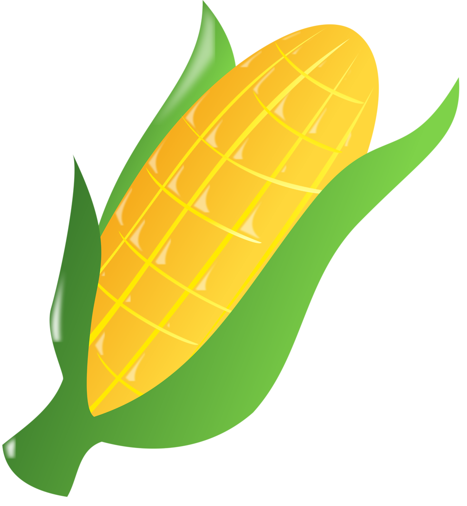 Maïs op de cob tekening PNG Pic