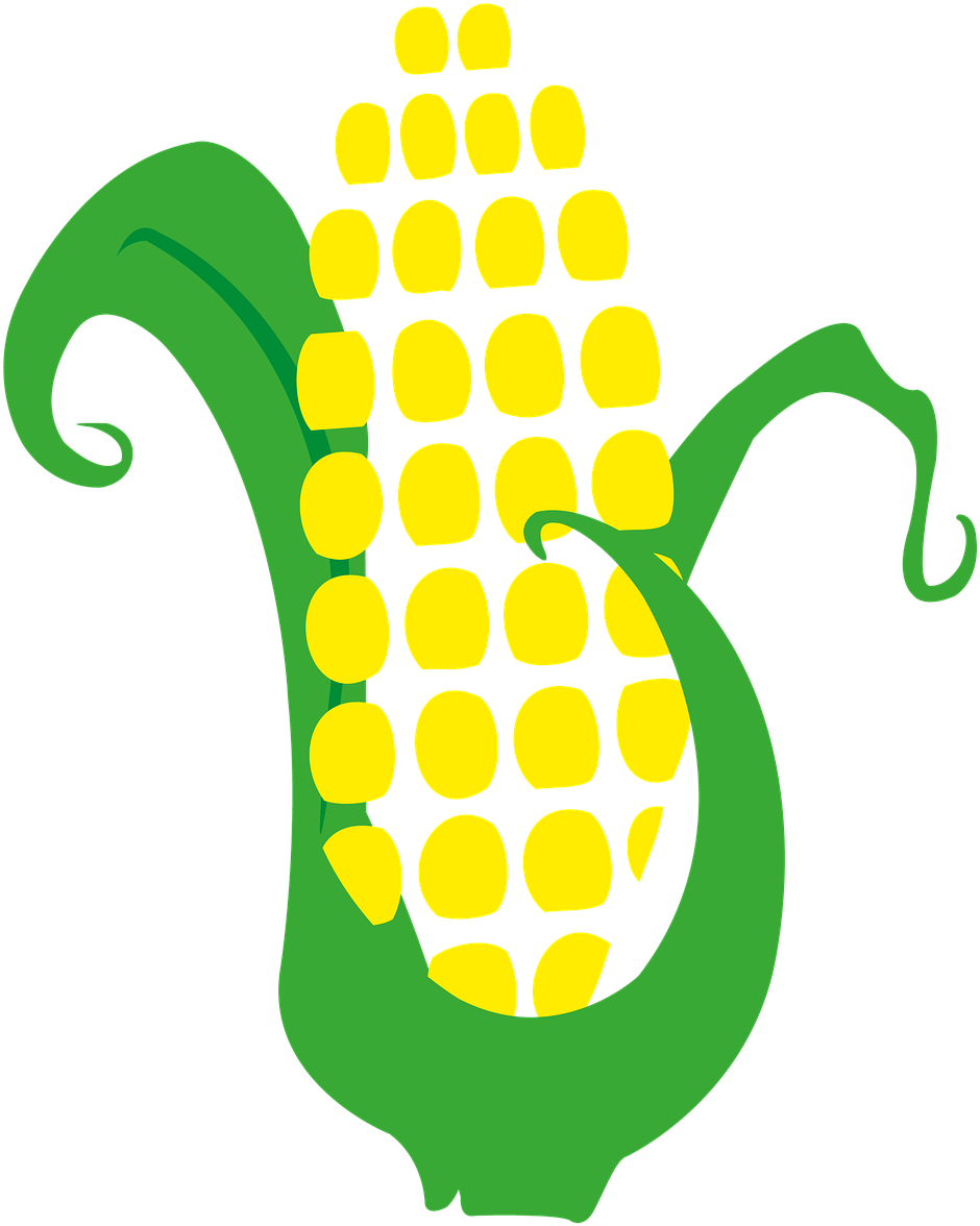 Corn On The Cob Drawing PNG Transparent Image