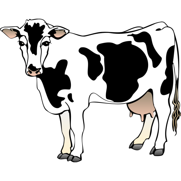 Imagen Transparente de vaca