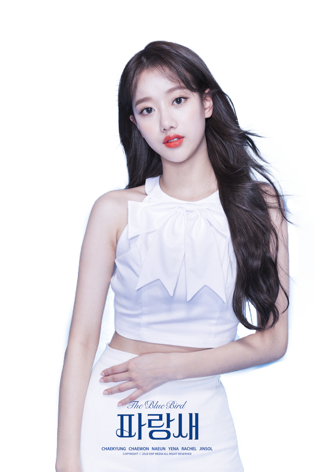 Daisy Momoland PNG Download Grátis