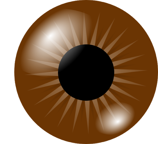 Donkerbruine ogen Gratis PNG-Afbeelding