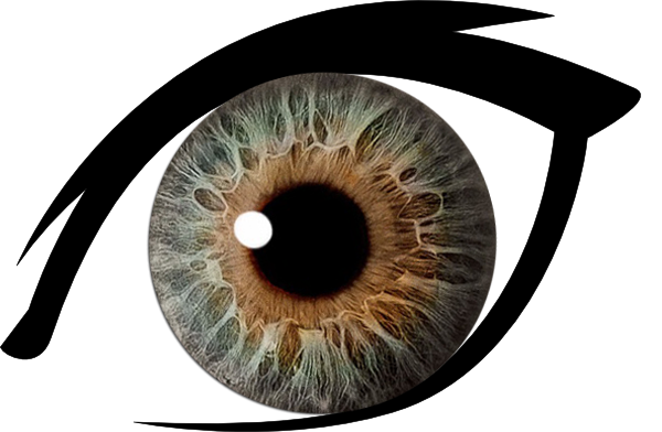 Dark Brown Eyes PNG Transparent Image