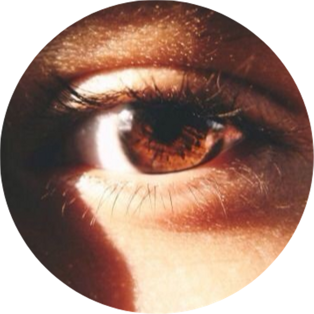 Dark Brown Eyes Transparent Image