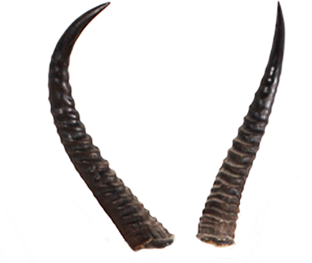 Horns démons de fond Transparent PNG