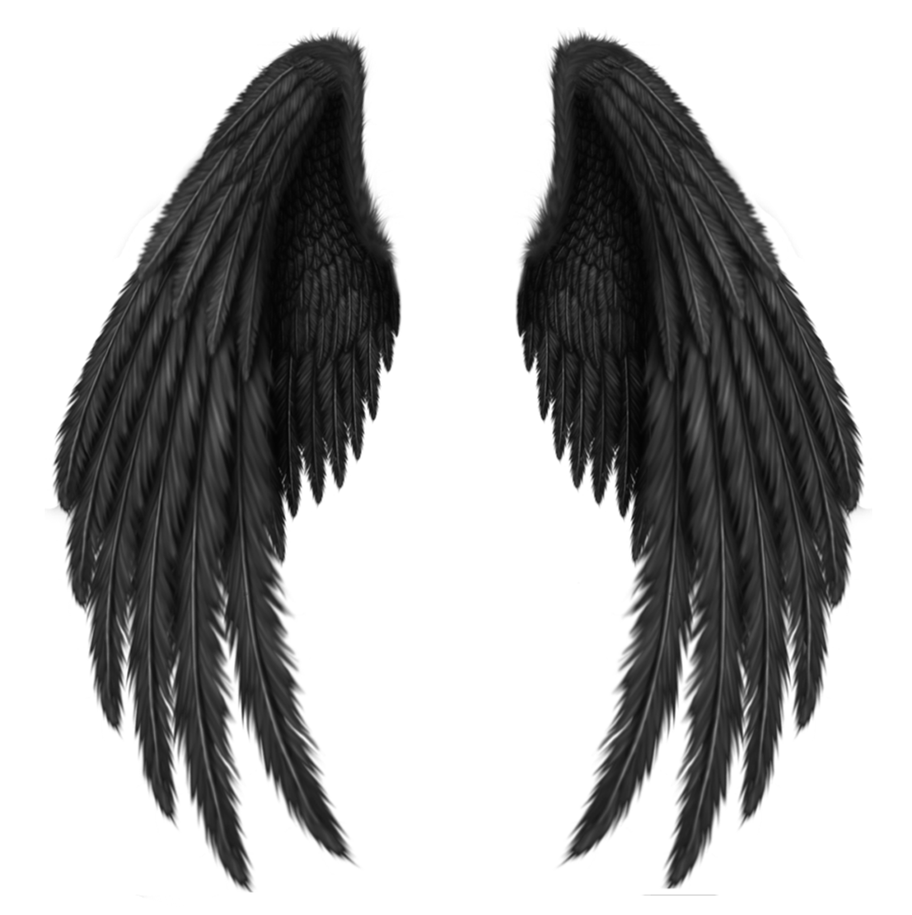 Demon Wings PNG Picture