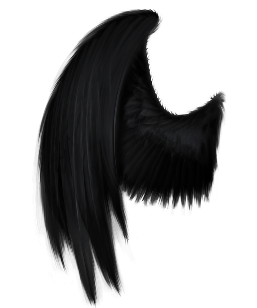 Demon Wings vista lateral Download PNG Image
