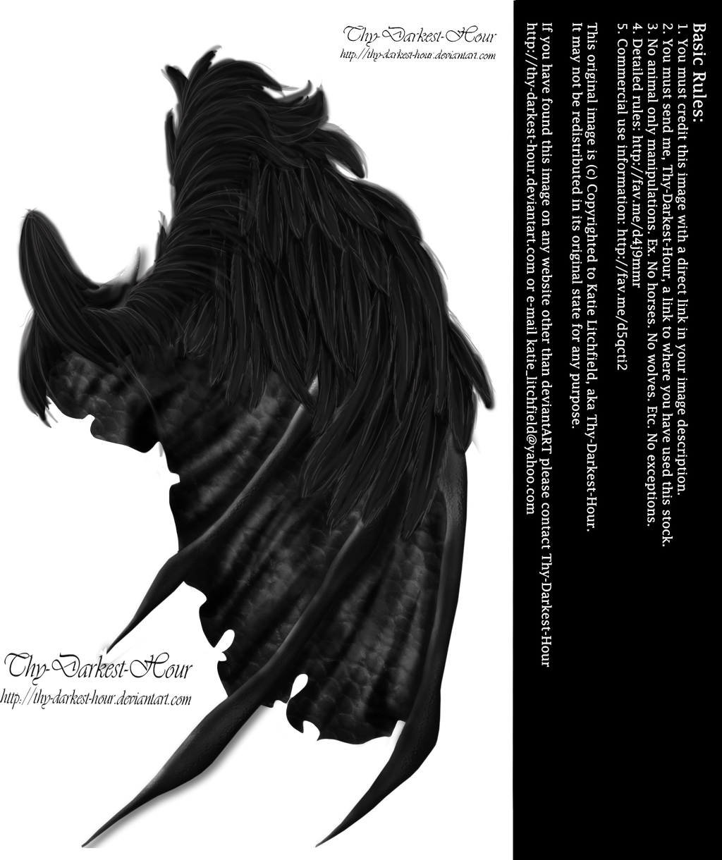 Demon Wings Side View Download Transparent PNG-Afbeelding