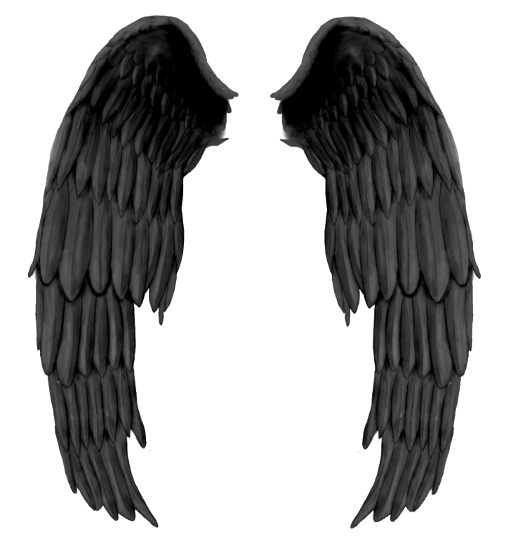 Dämon Wings Seitenansicht PNG Kostenloser Download