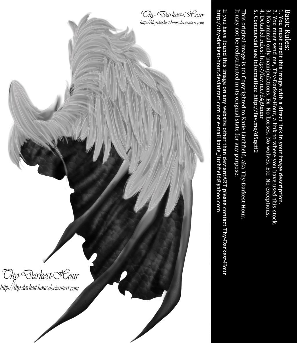 Dämonenflügel Seitenansicht PNG-Bild transparentem Hintergrund