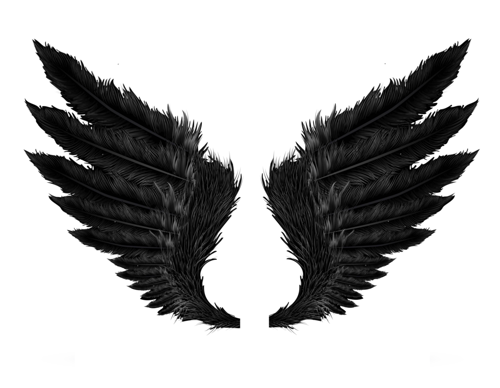 Demon Wings Vue de côté Pic PNG