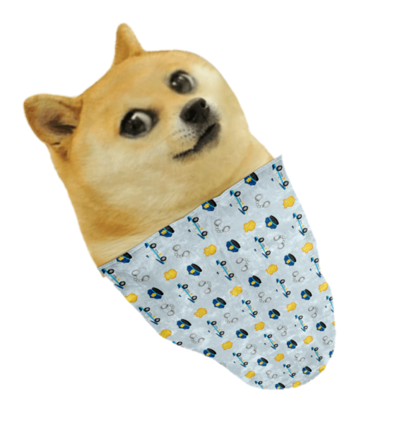 Doge PNG Download Image