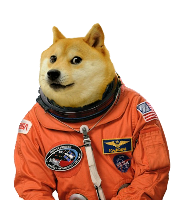 Doge PNG Picture