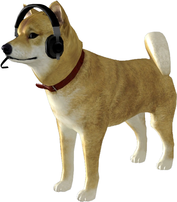 Doge PNG Transparent Image