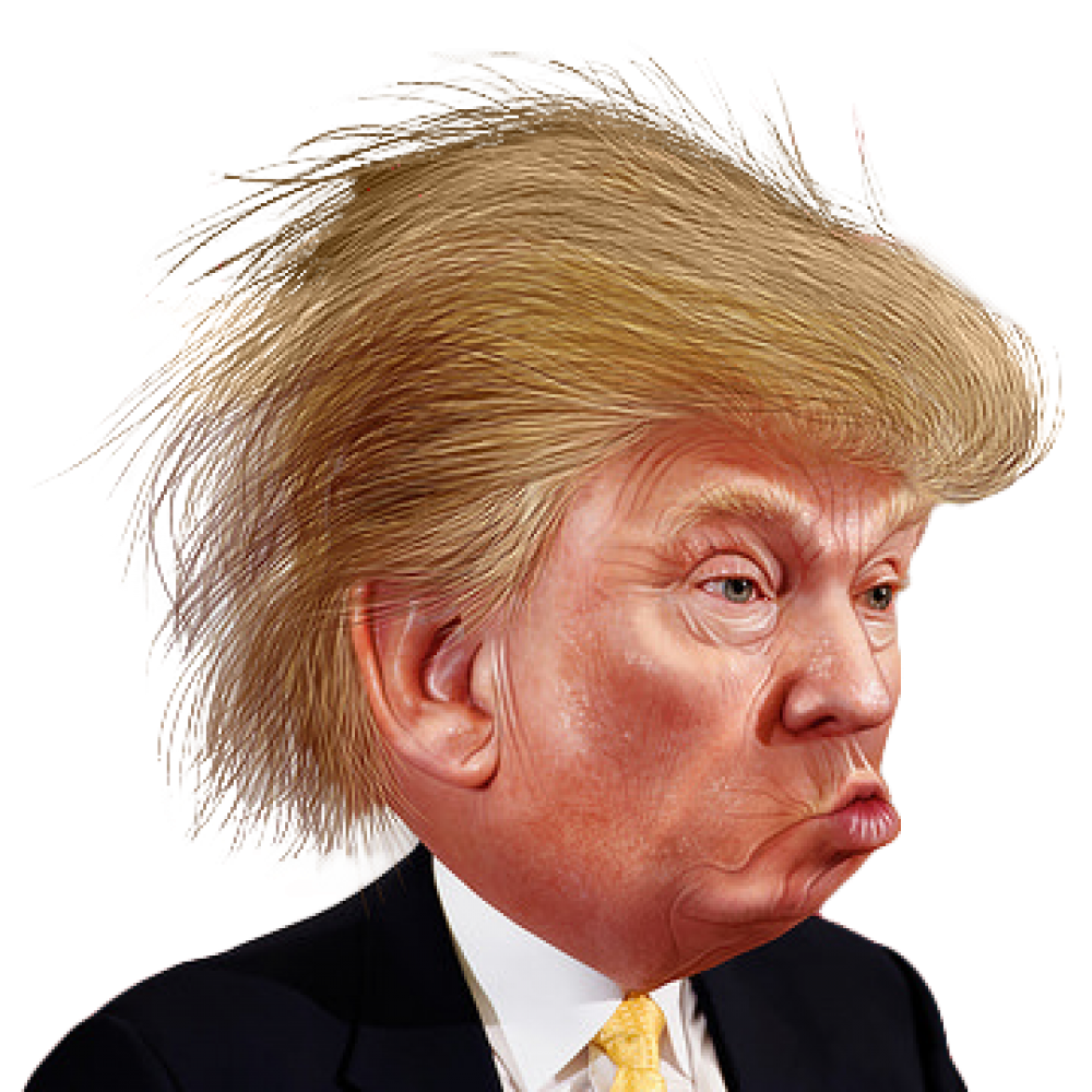 Donald Trump Face PNG Gambar berkualitas tinggi