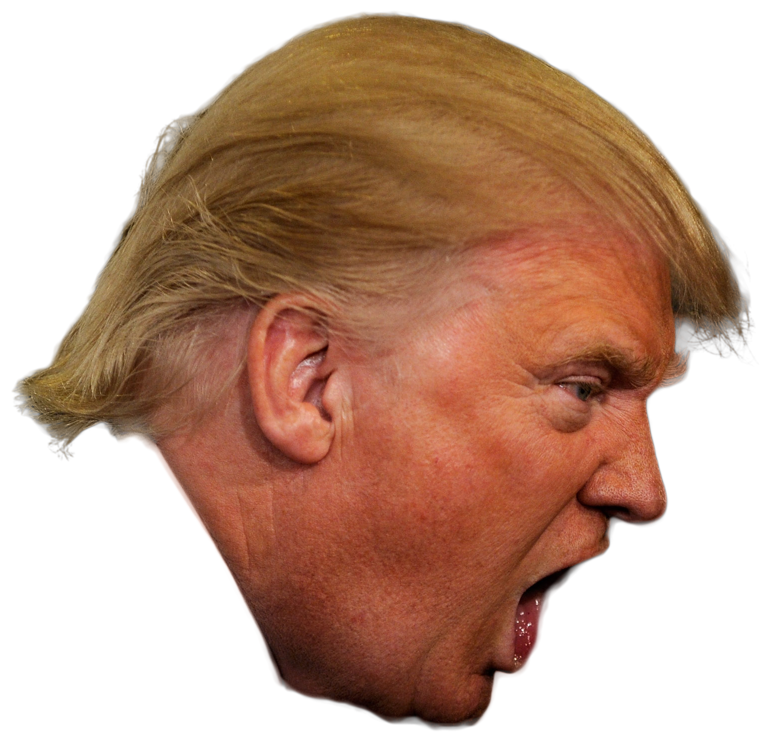 Donald Trump Face PNG Image Background