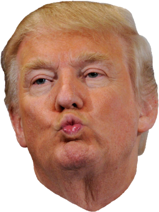 Donald Trump Face PNG Transparent Image