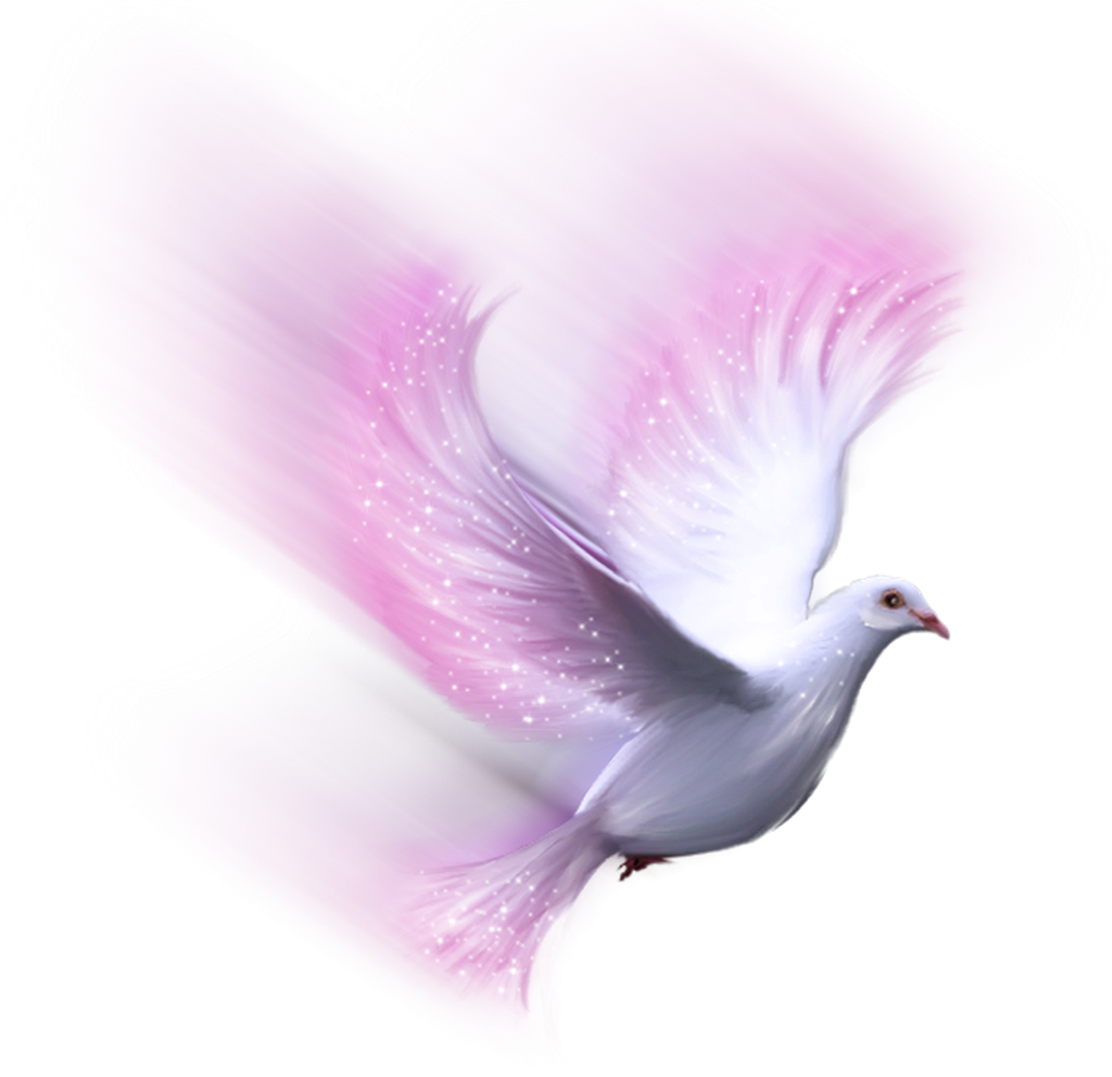 Dove PNG Photo | PNG Arts