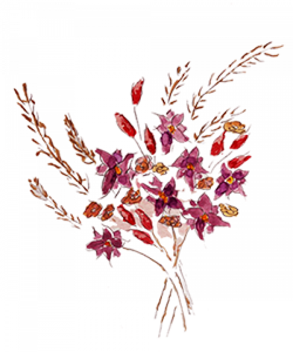 Droog bloemen Gratis PNG-Afbeelding