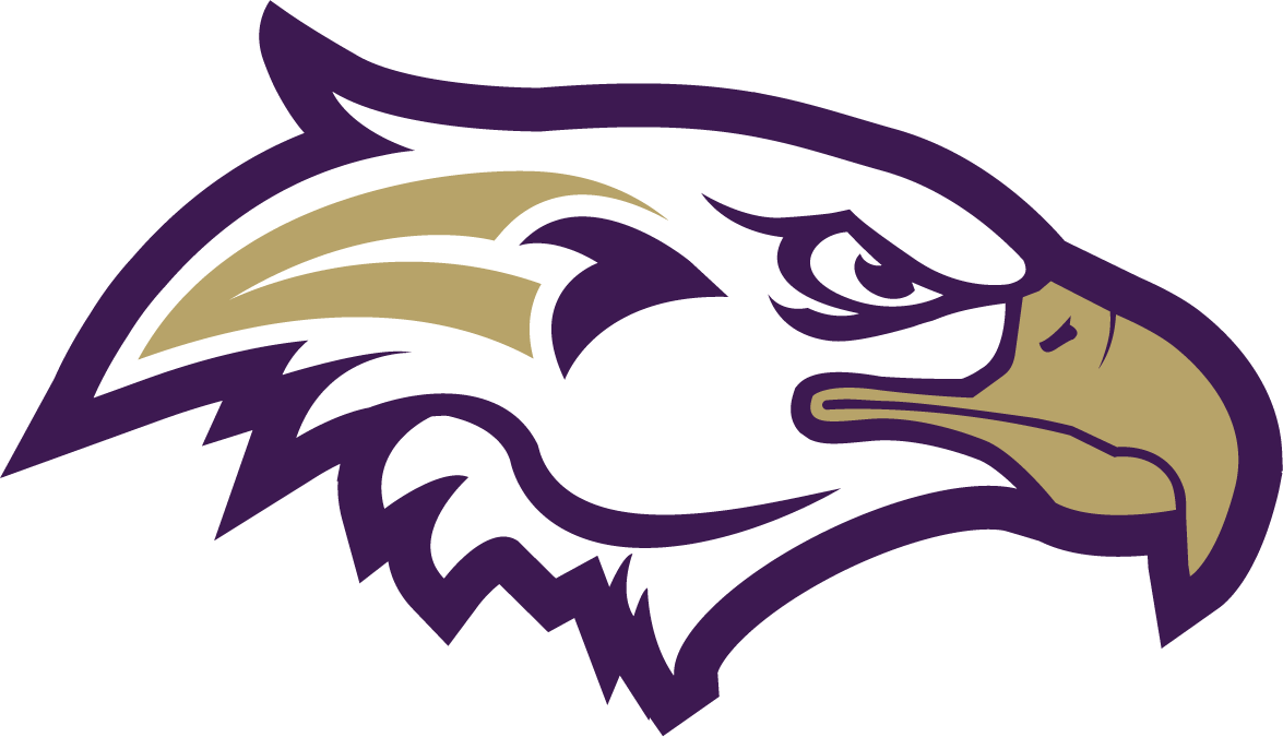 Eagles logo PNG-Afbeelding