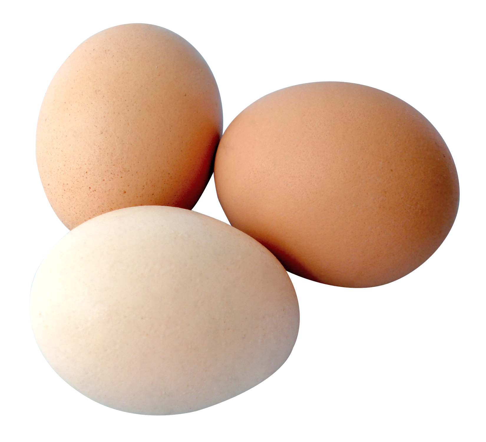 Eggs PNG Image Transparent