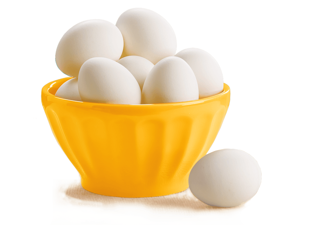 Imagens de ovos transparentes