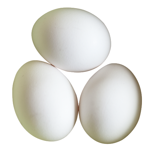 Eggs Transparent