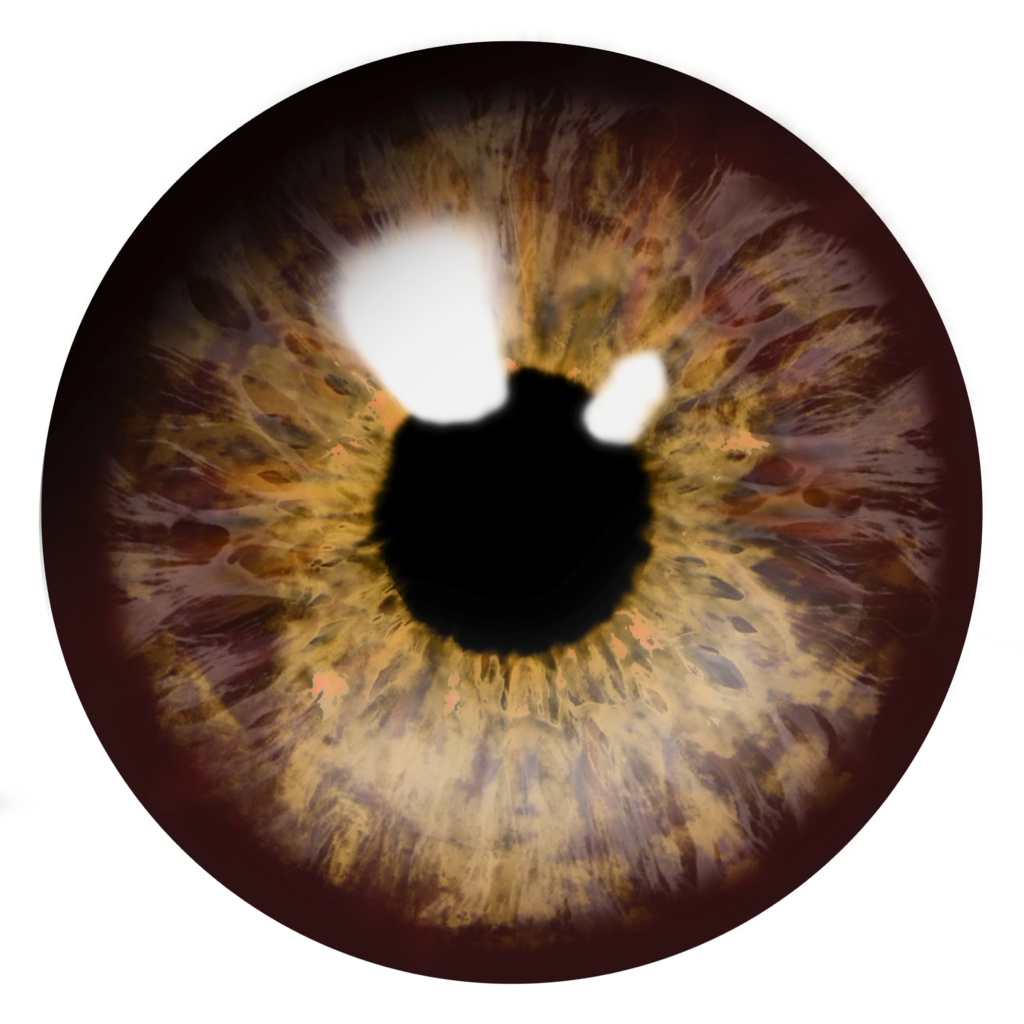 Eyeball Lens PNG descargar imagen