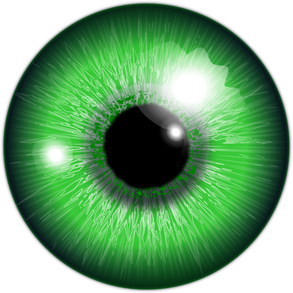 Imagen Transparente de la lente del globo ocular