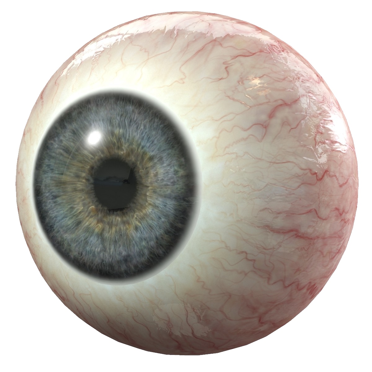 Eyeball PNG Download Image