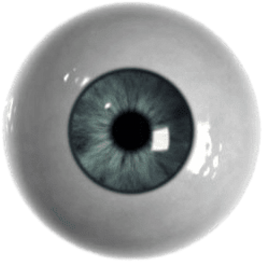 Eyeball PNG Image
