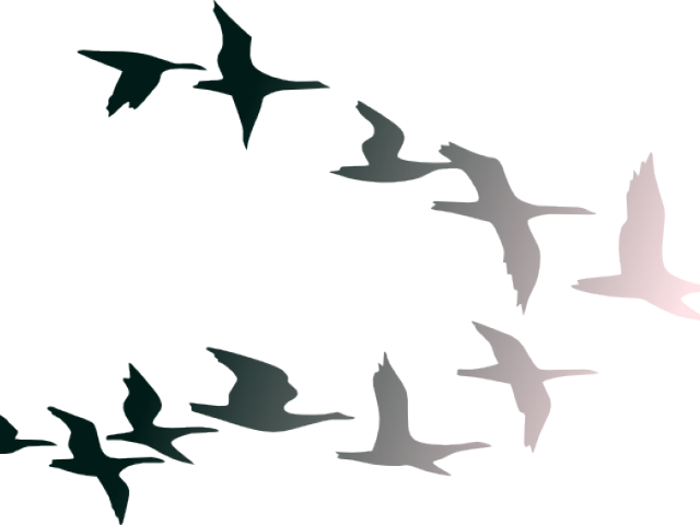 Flock of Birds PNG Download Image
