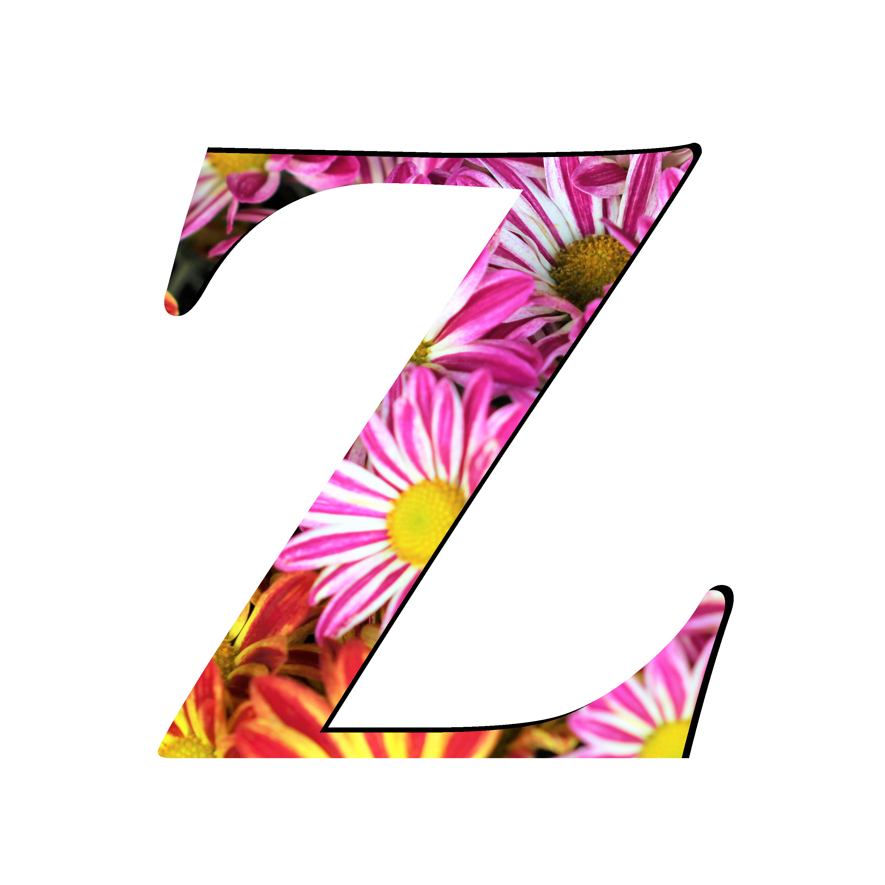 Floral Letters PNG Image Transparent Background
