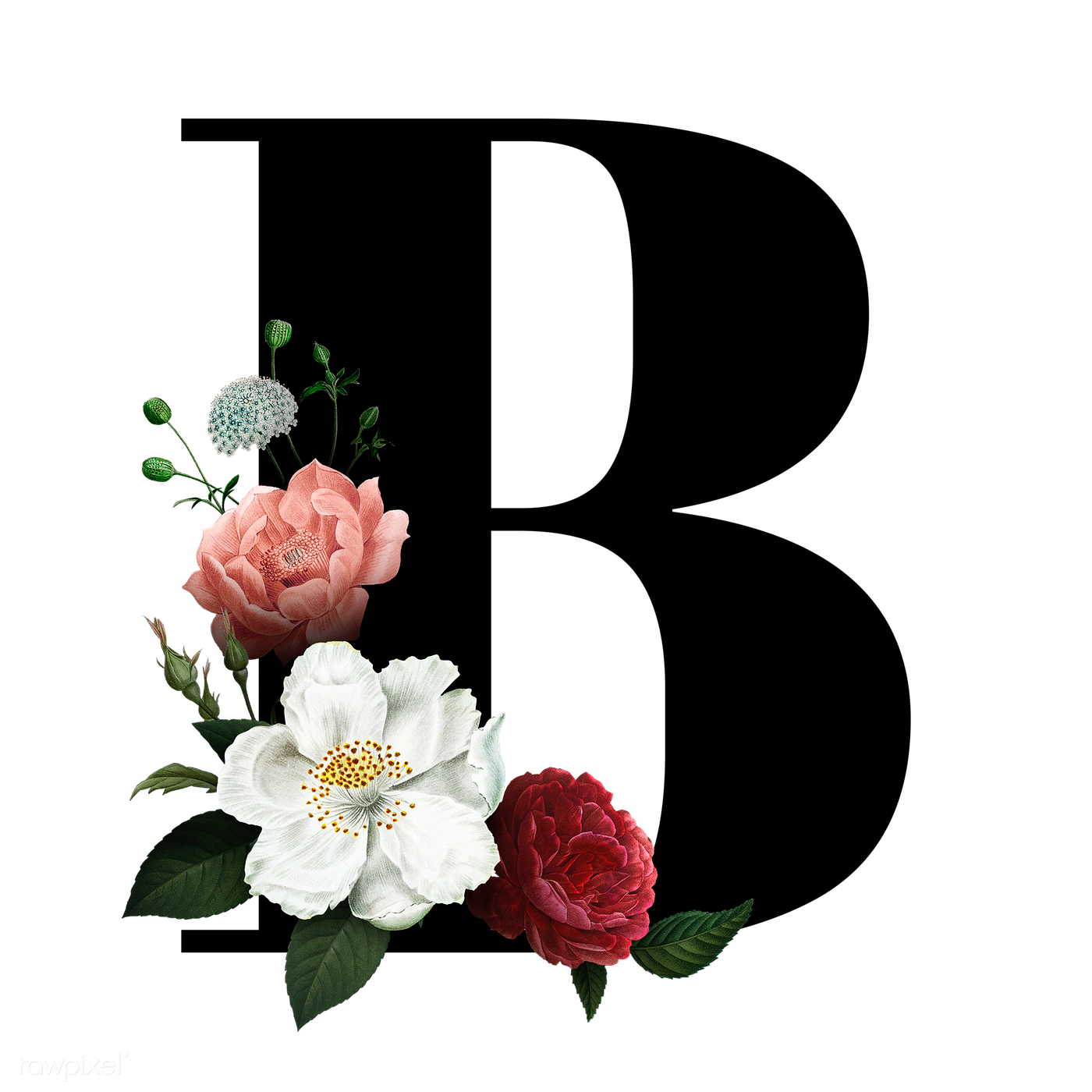 Floral Letters Transparent Images