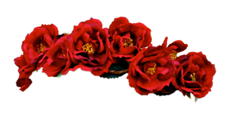 Imagem de fundo PNG de coroa de flores