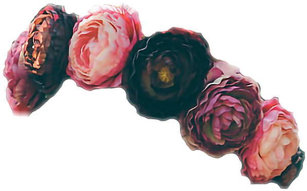 Flower Crown PNG Image